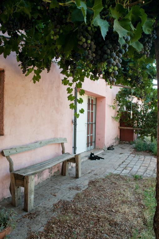 Hosteria Rural Viejo Roble San Rafael  Eksteriør billede